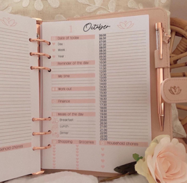 Year content “single” planner