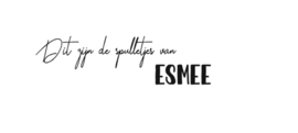 TASJE MAAT S || Spulletjes van (Naam)