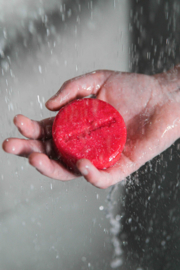 Shampoo bar MELON - Dagelijks gebruik voor alle haartypes