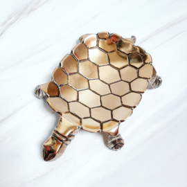Schaaltje - Schildpad tortoise