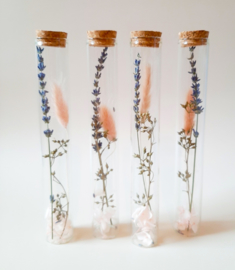Droogbloemen in een buisje - Lavendel