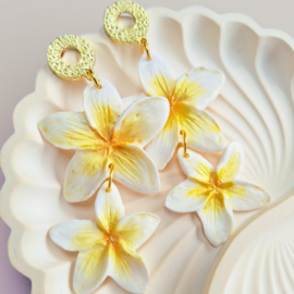 Studio.bloemig - Plumeria