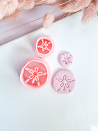 Clay cutter - Sand dollar, set van twee