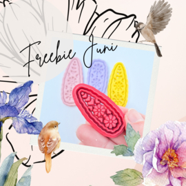 FREEBIE Juni - GRATIS mee te bestellen vanaf €20,-