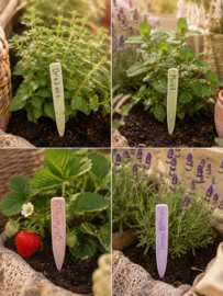Clay cutter - Moestuin en planten steker.
