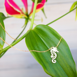 Goudkleurige ketting - Seahorse - Lolilota