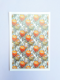 Water transfer print - Protea