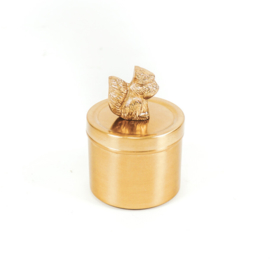 Box eekhoorn - Squirrel gold