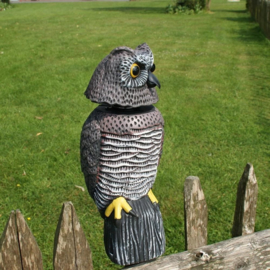 6 x Uil / Vogelverschrikker met bewegend hoofd 2ass  HA7010