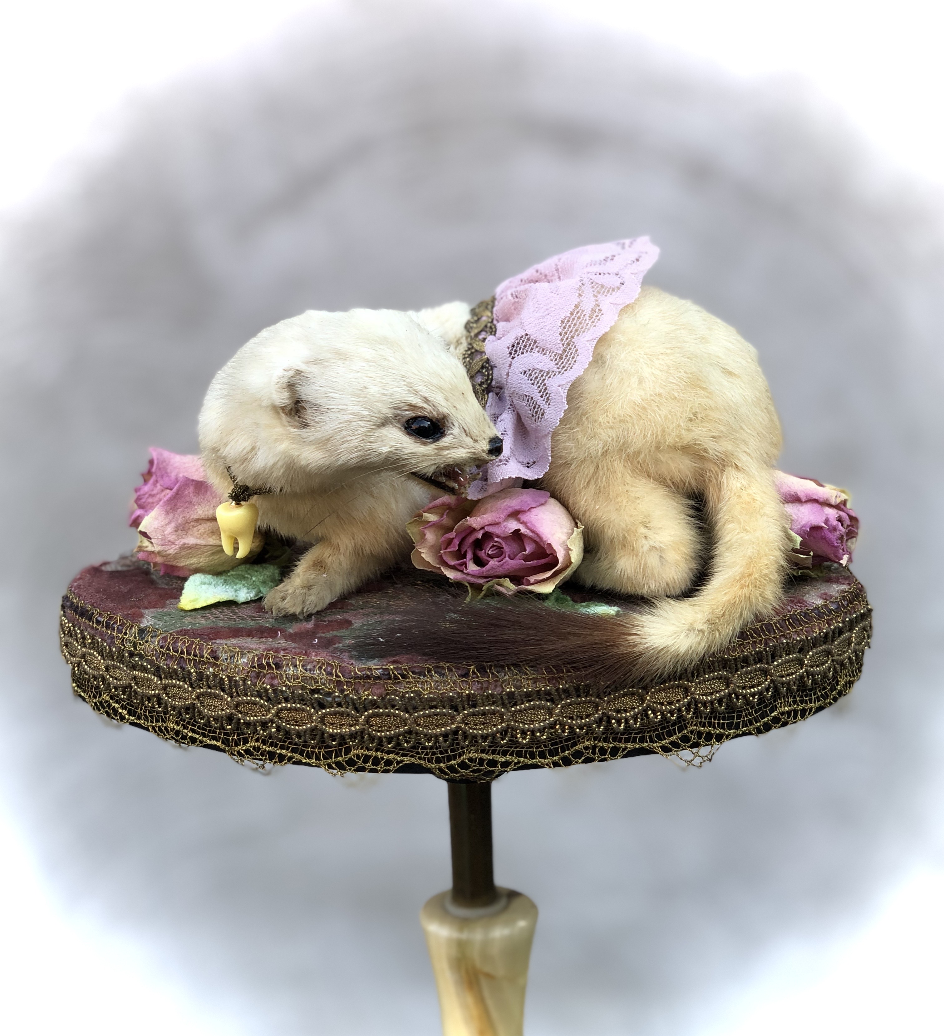 Ermine