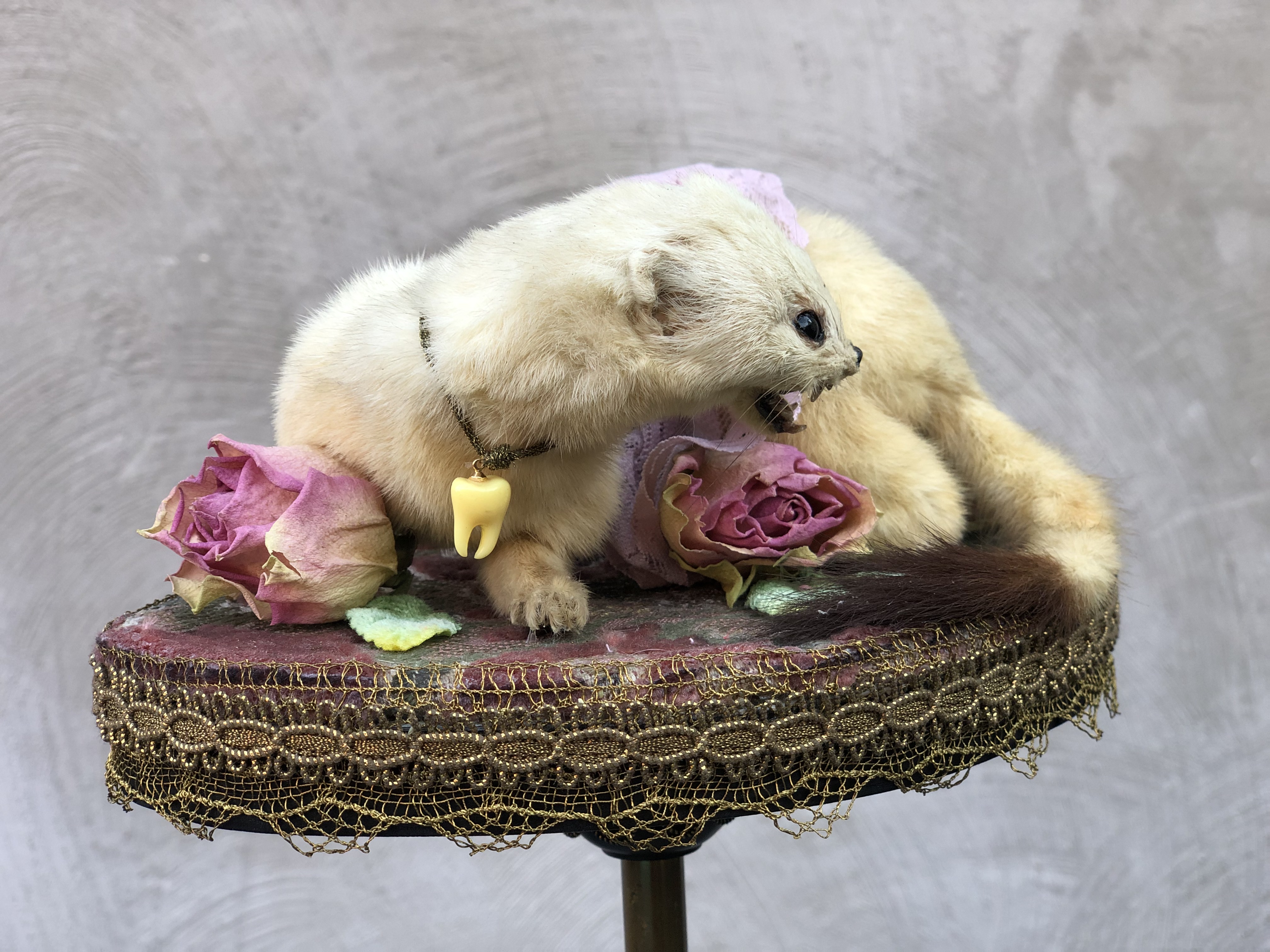Ermine