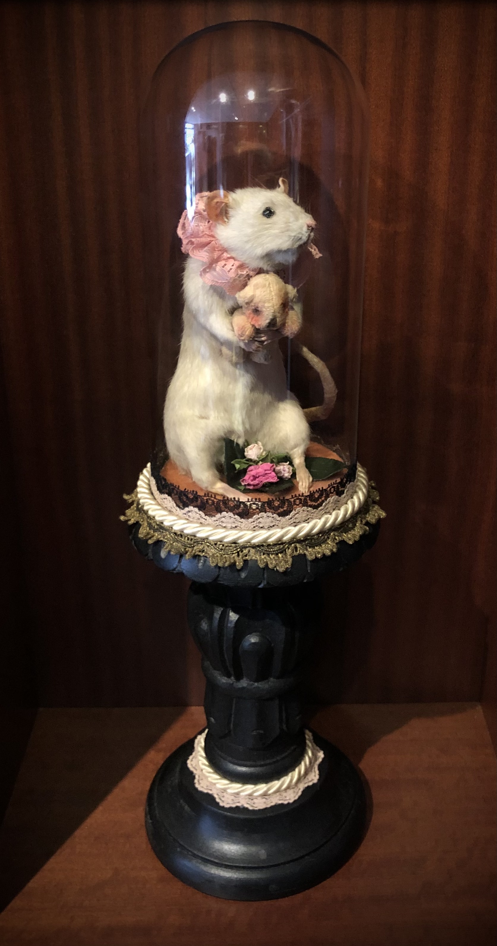 The rat and her teddybear