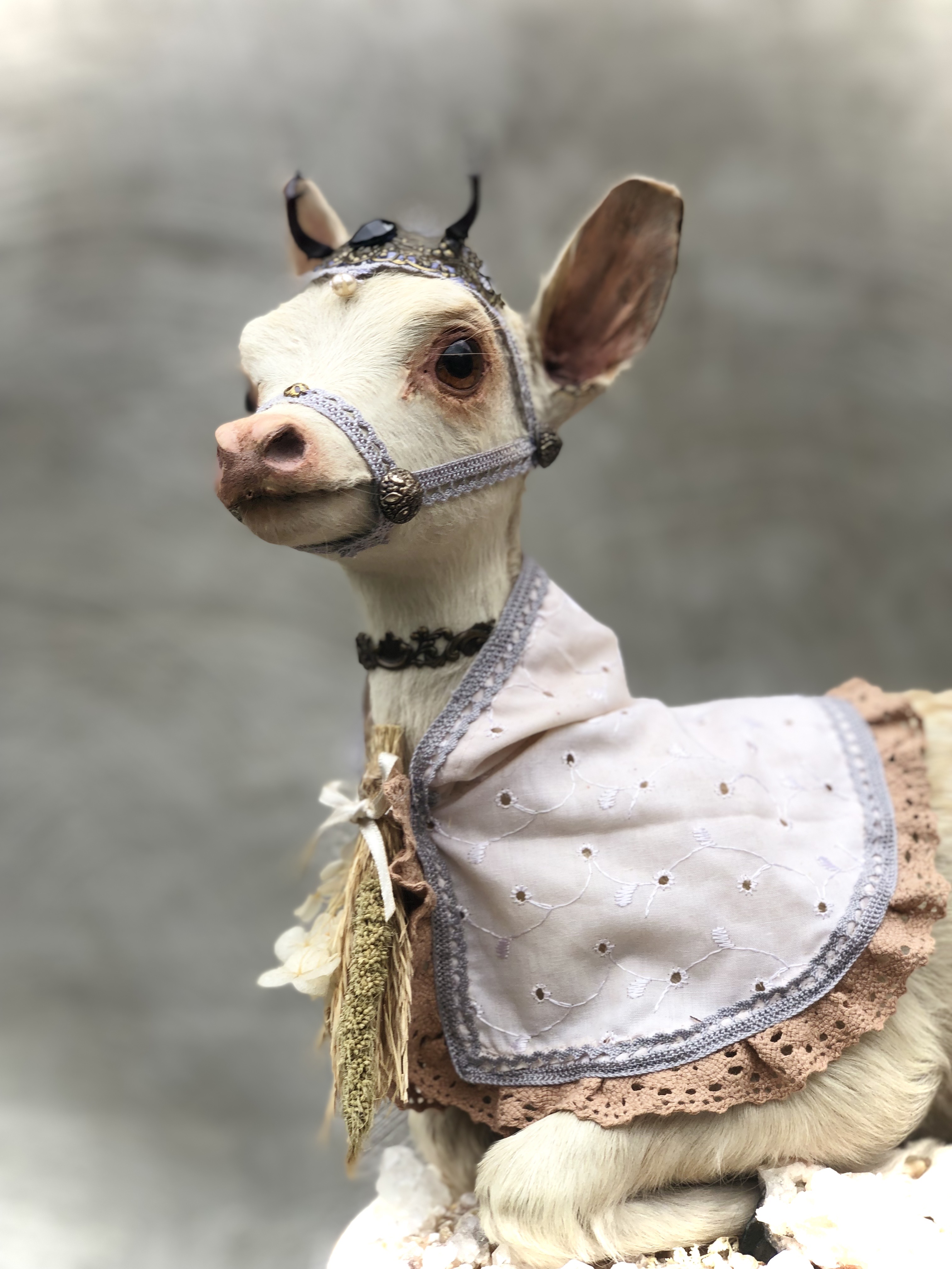 The white doe