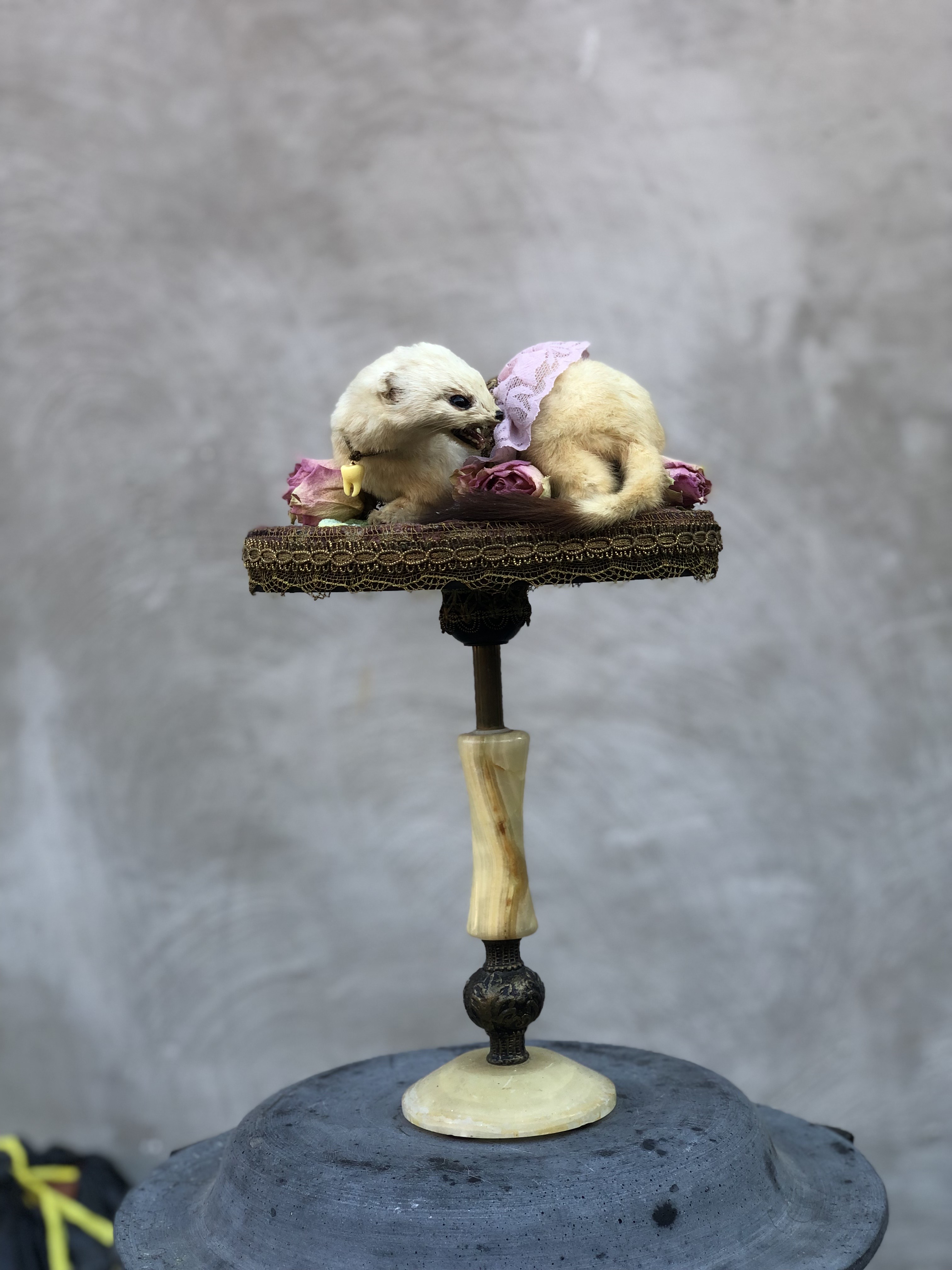 Ermine