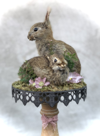 Watership down