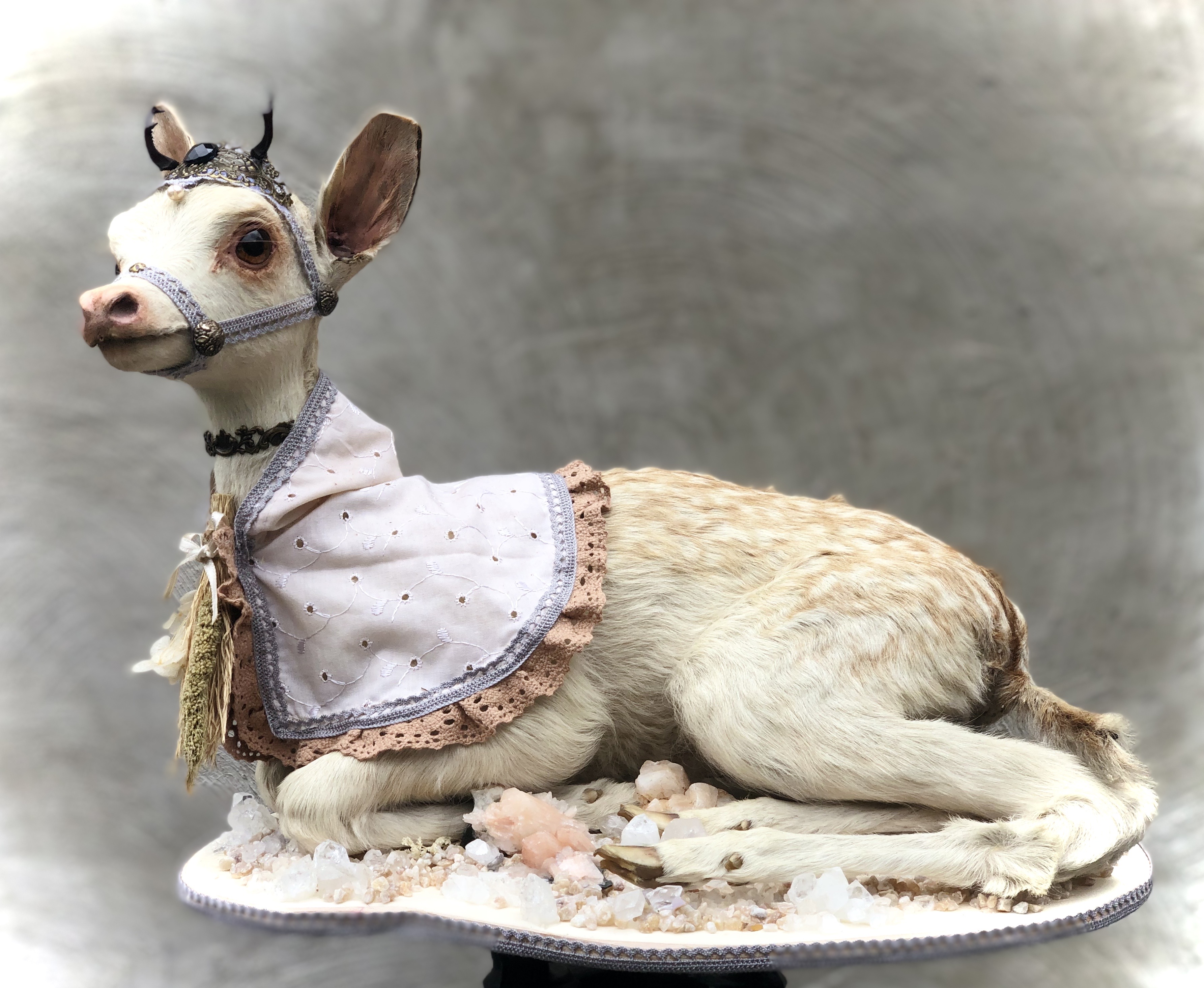 The white doe