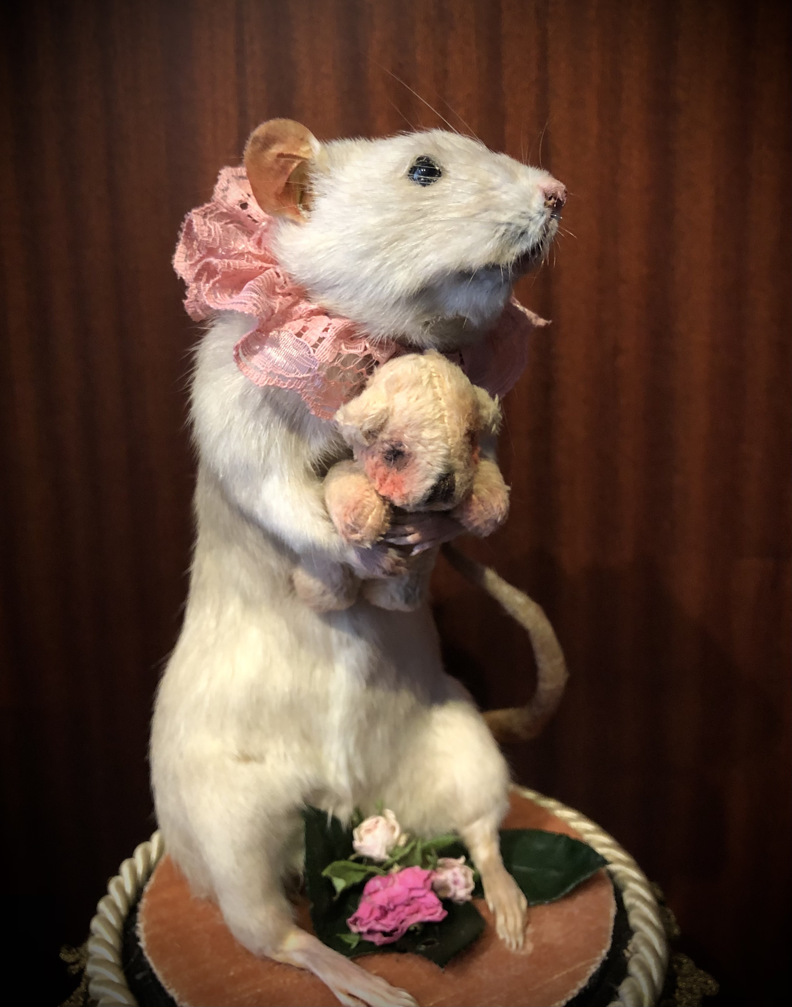 The rat and her teddybear