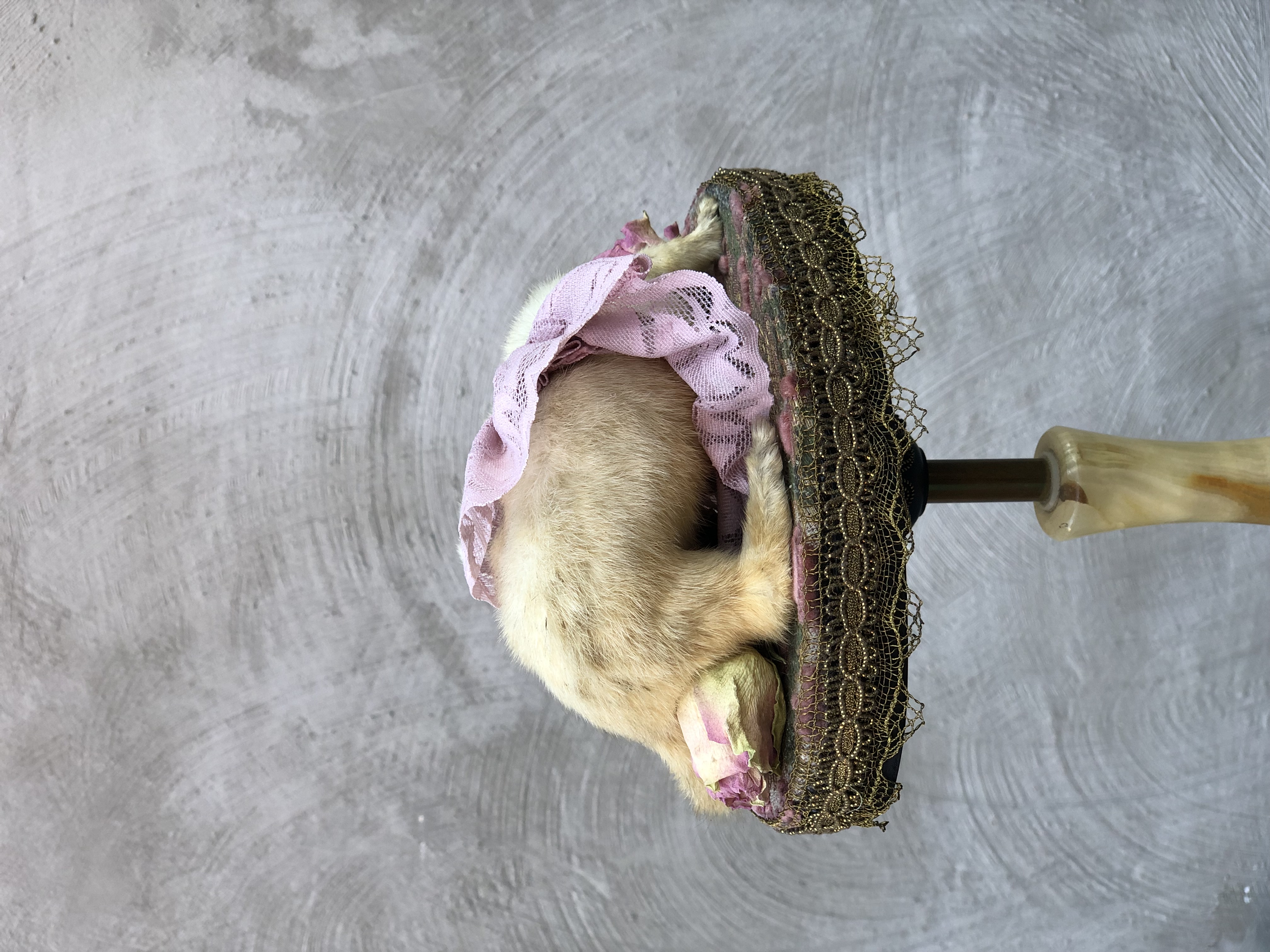 Ermine
