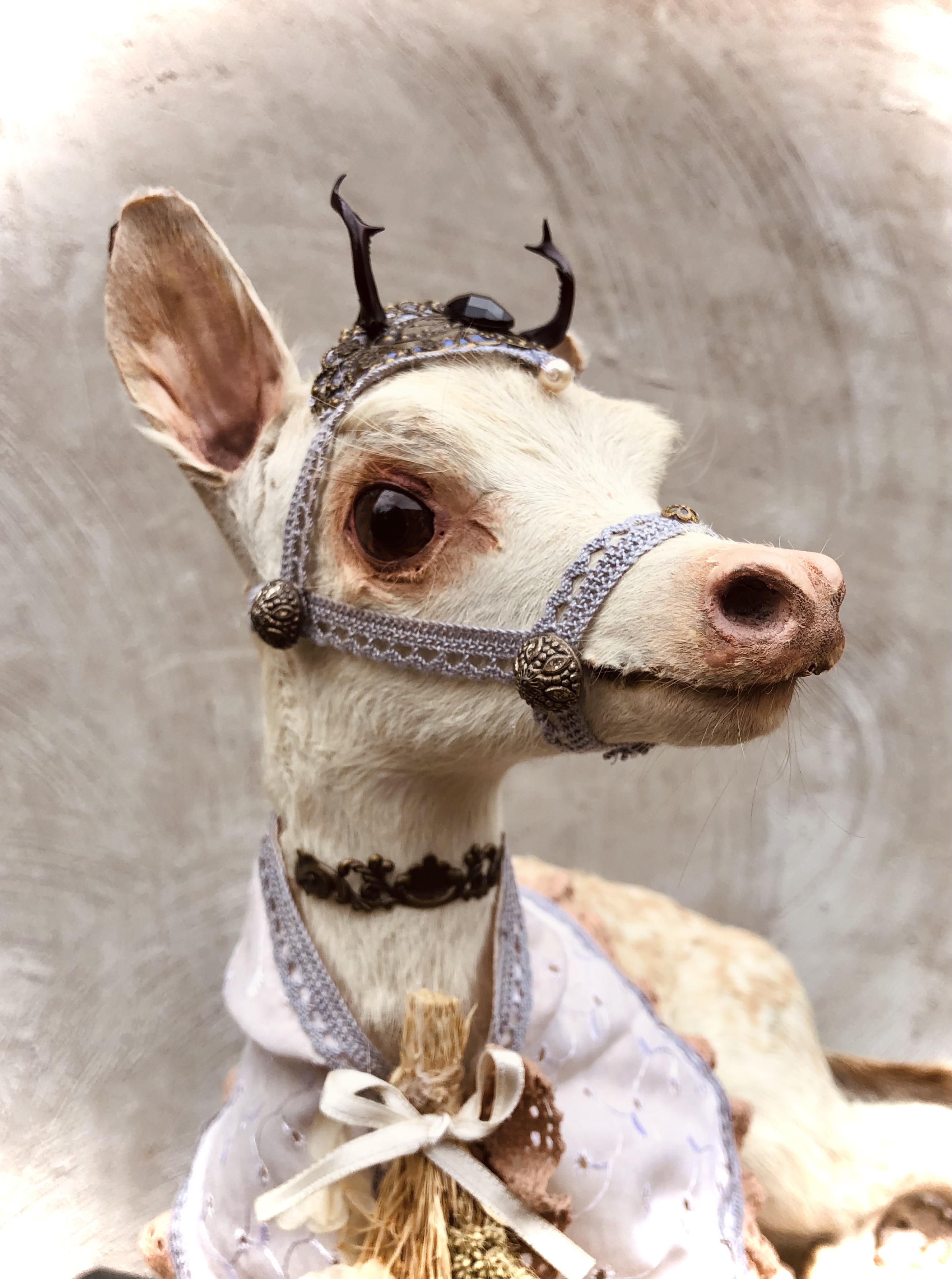 The white doe