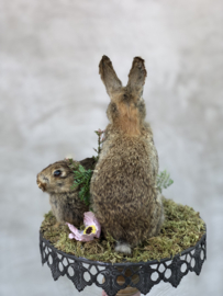 Watership down