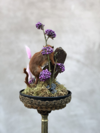 Violet
