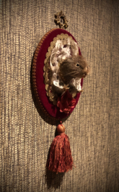 Wall vole