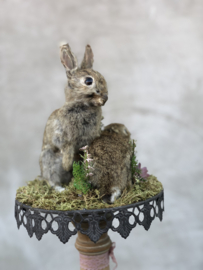 Watership down