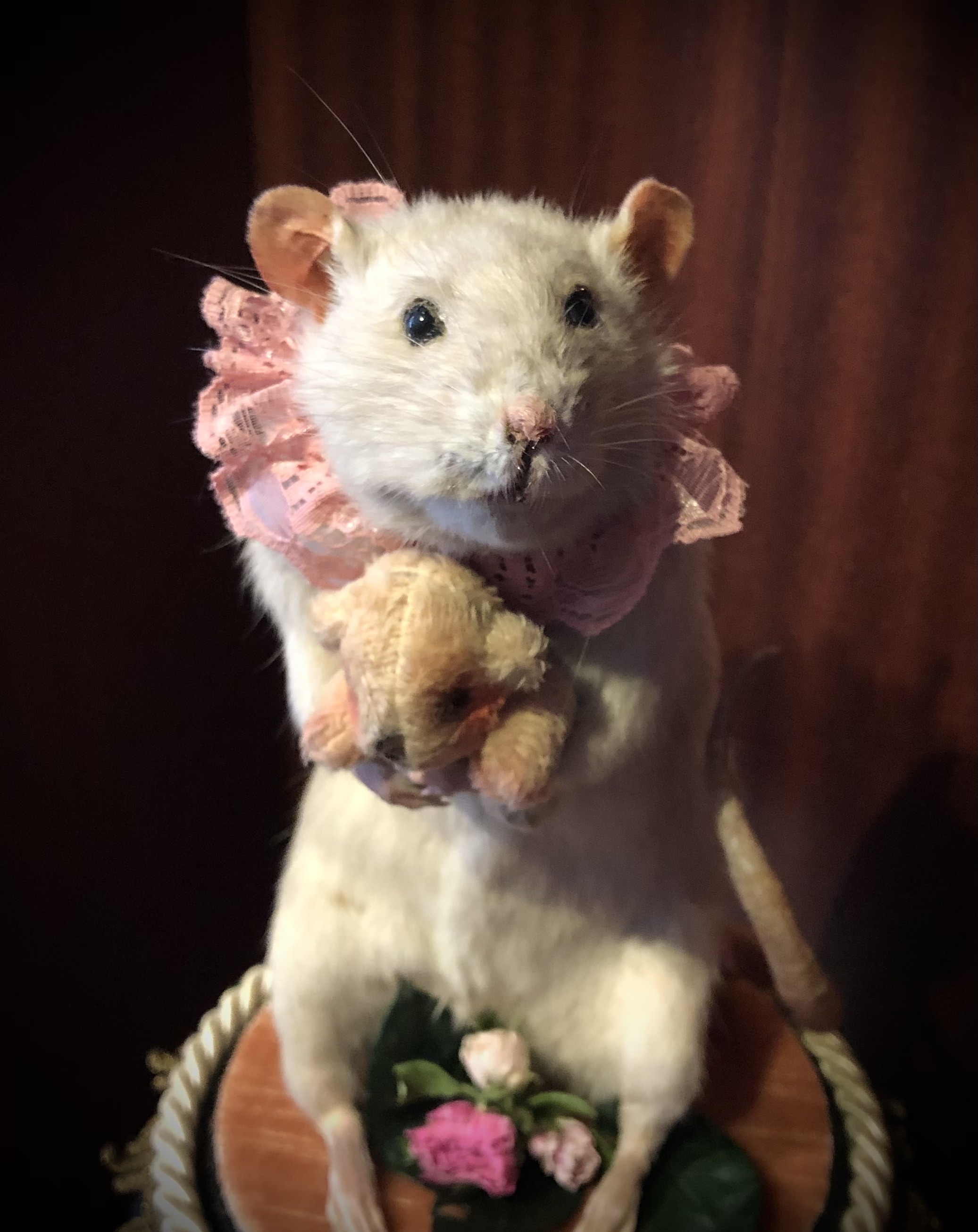 The rat and her teddybear