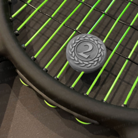 Zilveren Medaille