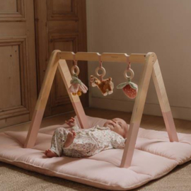 Babygym Fairy Garden