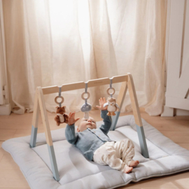 Babygym Forest Friends