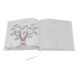 Little Dutch Babyboek mijn eerste jaar