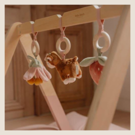 Babygym Fairy Garden