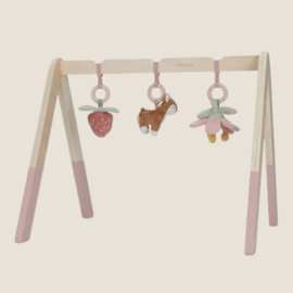 Babygym Fairy Garden
