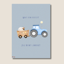 Kaart “Wat een feest, jij bent jarig!”