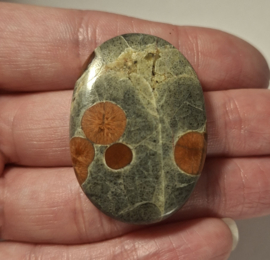 Pinda Obsidiaan/Perliet