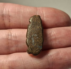 Boulder opaal/beertje