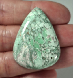 Varisciet