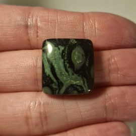 Kambaba jaspis / Eldariet