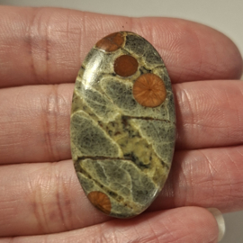 Pinda Obsidiaan/Perliet