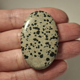 Dalmatier jaspis
