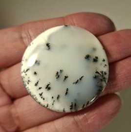 Dendriet opaal
