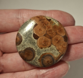 Pinda Obsidiaan/Perliet