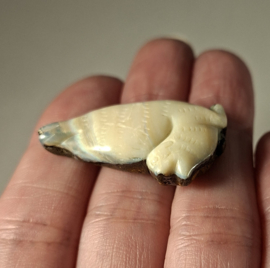 Boulder opaal/zeehond