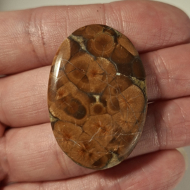 Pinda Obsidiaan/Perliet