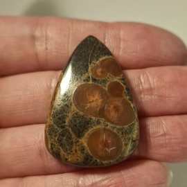 Pinda Obsidiaan/Perliet