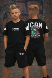 Icon flag bear set.