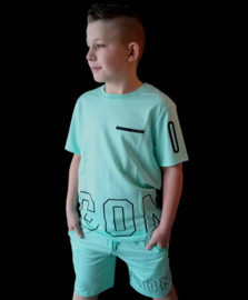 Icon sea green.