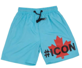 Icon blue.