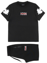 Icon flag bear set.